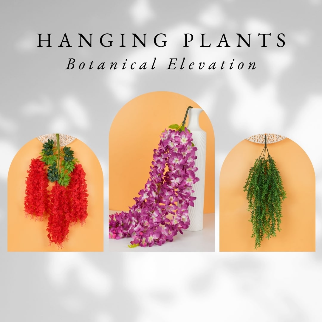 Hang in Green Style: Elevate your space with Hanging Plants!